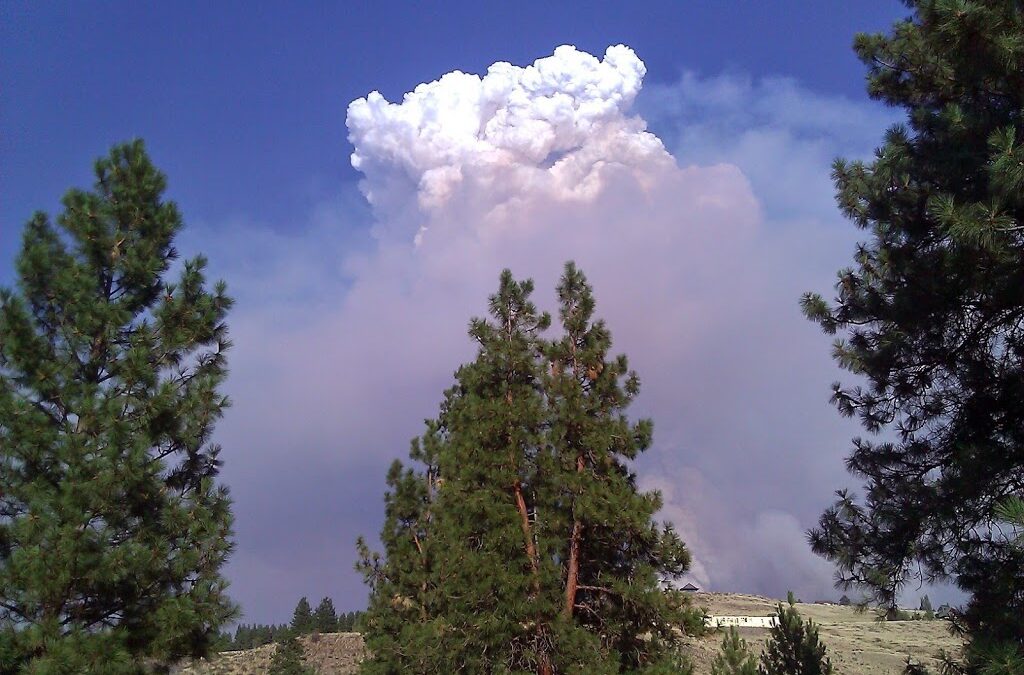 After the Firestorm: Finding Out What Matters Most