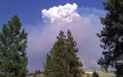 After the Firestorm: Finding Out What Matters Most