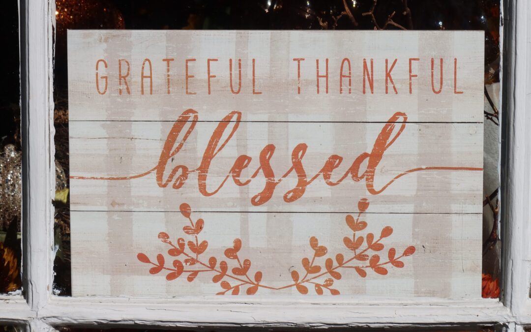 A Lesson In Gratitude and Giving